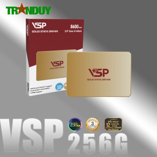 SSD VSP- 256G 860G